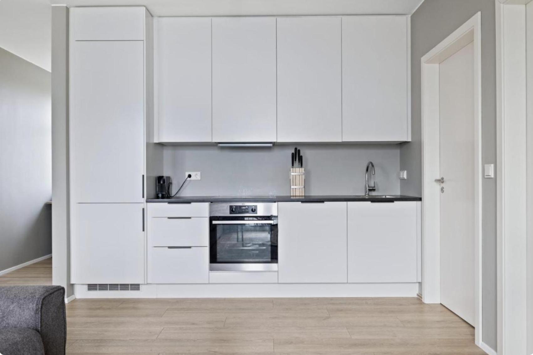 Cheerful Down Town Apartment 雷克雅維克 外观 照片