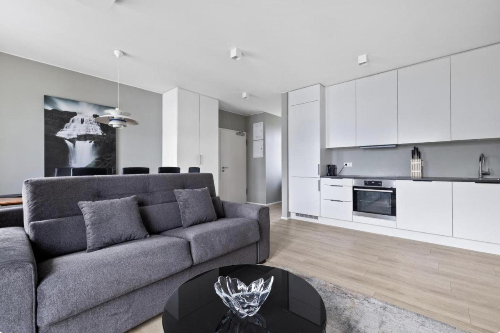 Cheerful Down Town Apartment 雷克雅維克 外观 照片