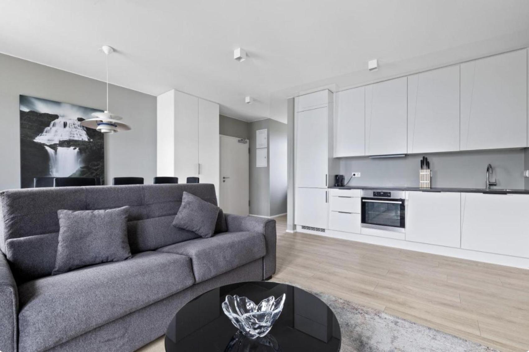 Cheerful Down Town Apartment 雷克雅維克 外观 照片